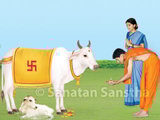 गोवत्स द्वादशी का आध्यात्मिक महत्व!